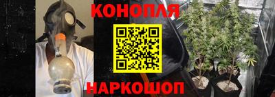 apvp Обь